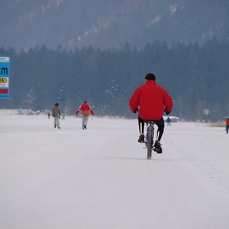 Ferienwohnungen Plattner 魏森湖 外观 照片